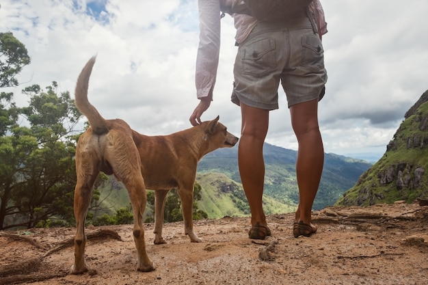 Caucasian woman standing with dog and looking on view from mountain