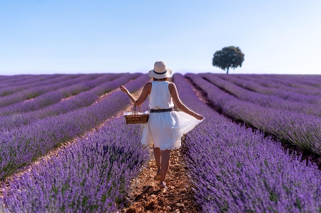 Una donna caucasica in un campo di lavanda estiva raccogliendo fiori stile di vita rurale