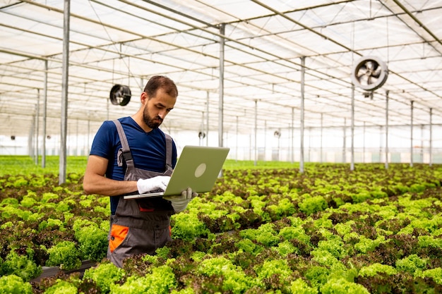 Caucasian worker noting something on the laptop in the salad plantation. Modern greenhouse and agriculture