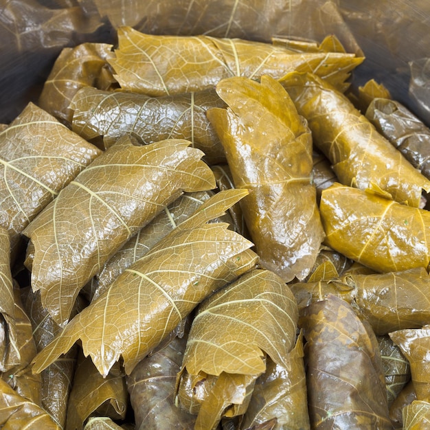 Caucasus dolma from pickled grape leaves and mince