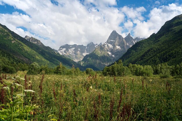 写真 カフカス山脈 ドンバイ村の近く 晴れた夏の日に カラチャイ チェルケシア ロシア