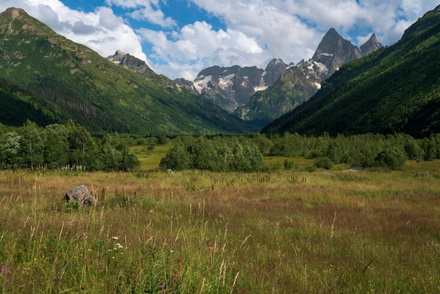 Photo caucasus mountains near the village of dombay on a sunny summer day karachaycherkessia russia