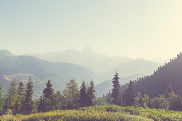 Caucasus mountains