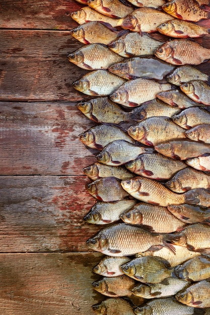 木材にコイの魚をキャッチ 木材の背景に淡水魚をキャッチ たくさんの鯛の魚フナ