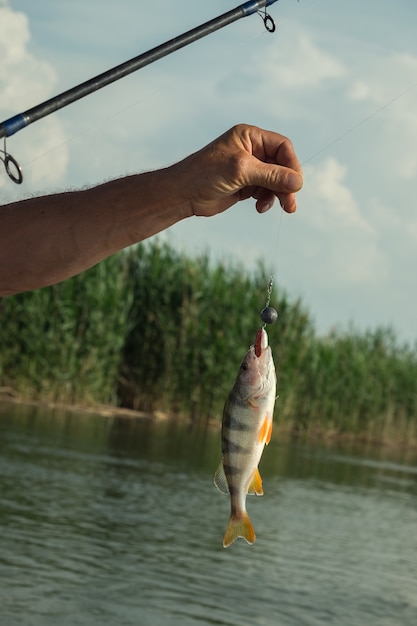 Photo caught fish on the fishing line in front of a river.