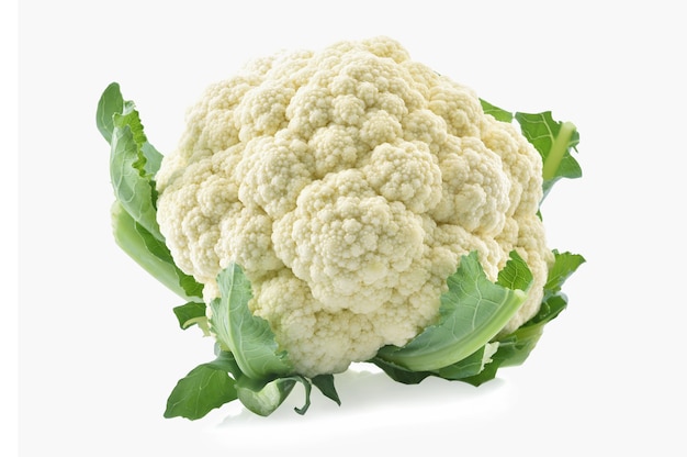 Cauliflower isolated on white