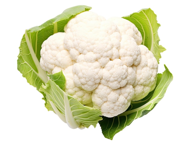 Cauliflower