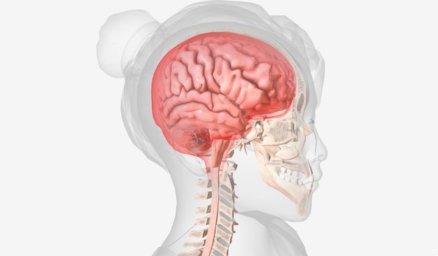 The Causes of Intracranial Pressure