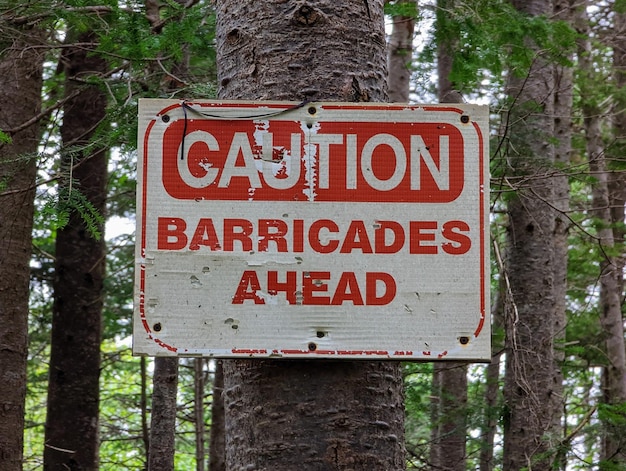 Foto barricate di cautela davanti a un cartello attaccato ad un albero nella foresta