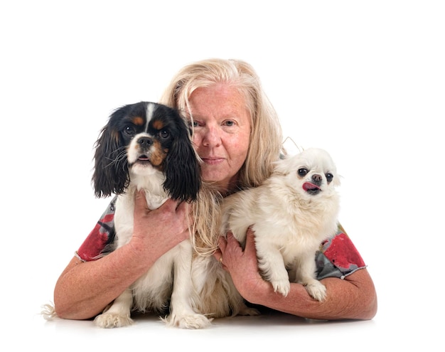 Cavalier king charles chihuahua and woman