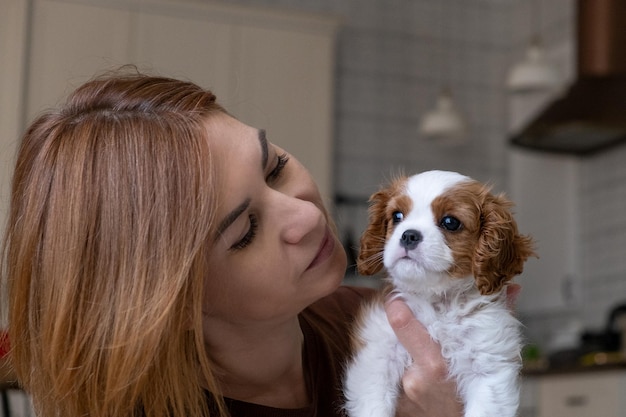 Cavalier King Charles Spaniel Blenheim Close up portrait of Cute dog puppy with woman hostess