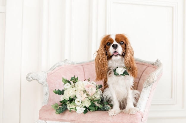 花の花束を持つキャバリア キング チャールズ スパニエル犬。花嫁のブーケを持った犬