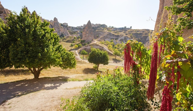 우치사르 마을 카파도키아 터키의 동굴집
