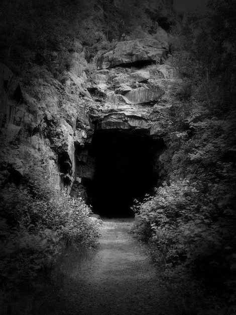 숲 속 의 동굴 터널 입구