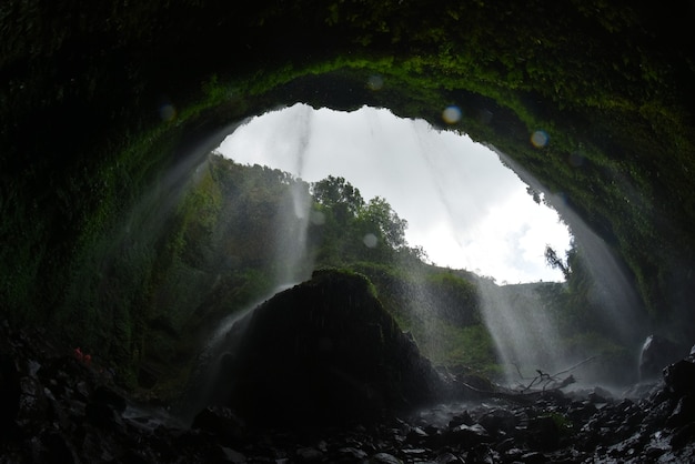 洞窟の滝