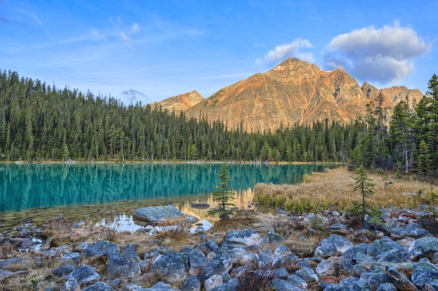 Foto cavell edith lago canadian rockis alberta canada