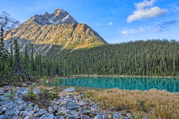 写真 cavell edith lake canadian rockis alberta canada