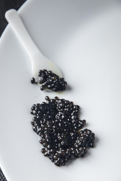 caviar black seafood sturgeon fish beluga, stellate sturgeon fresh healthy meal food snack