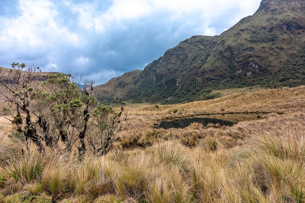 Cayambe Coca Ecological Reserve in Ecuador