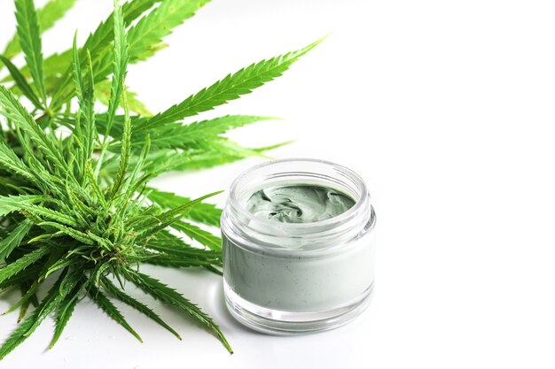 CBD cosmetics. Green cannabis plant and jar with a moisturizing rejuvenation cream.