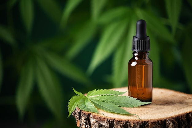 cbd hemp oil in a bottle against cannabis leaf background hemp herbal alternative medicine