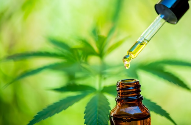 Photo cbd hemp oil, drip, bio-medicine and ecology, hemp plant, herb, medicine, cbd oil from medical extraction