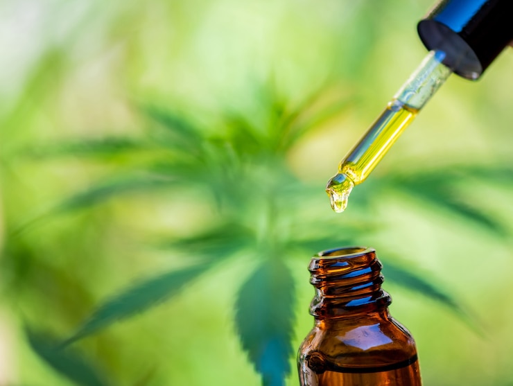 CBD 대마유, 드립, 생물 의학 및 생태학, 대마 식물, 허브, 의학, 의학 추출에서 얻은 CBD 오일