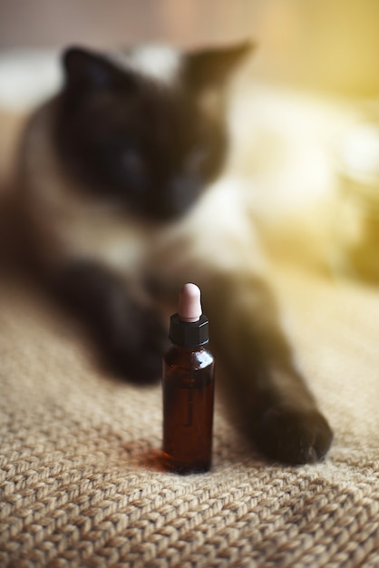 Photo cbd hemp oil dropper for cats, selective focus and out-of-focus background