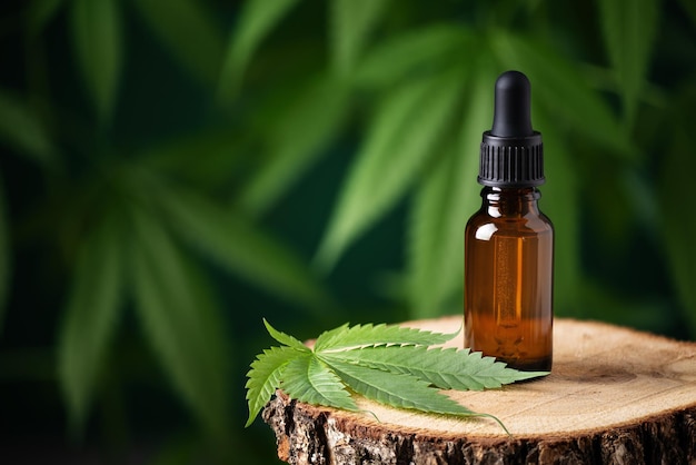 CBD hennepolie in een fles tegen de achtergrond van cannabisbladeren hennep kruiden alternatieve geneeskunde