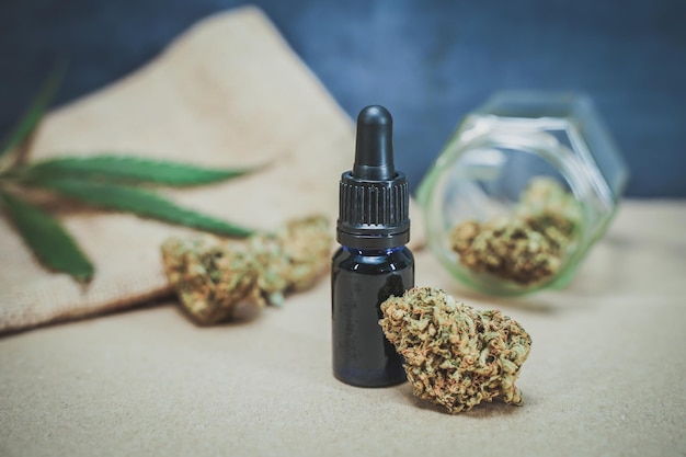 Cbd medicinale marihuana en hennep laat medicinale cannabis biologische en natuurlijke op hennep gebaseerde cosmetica en be