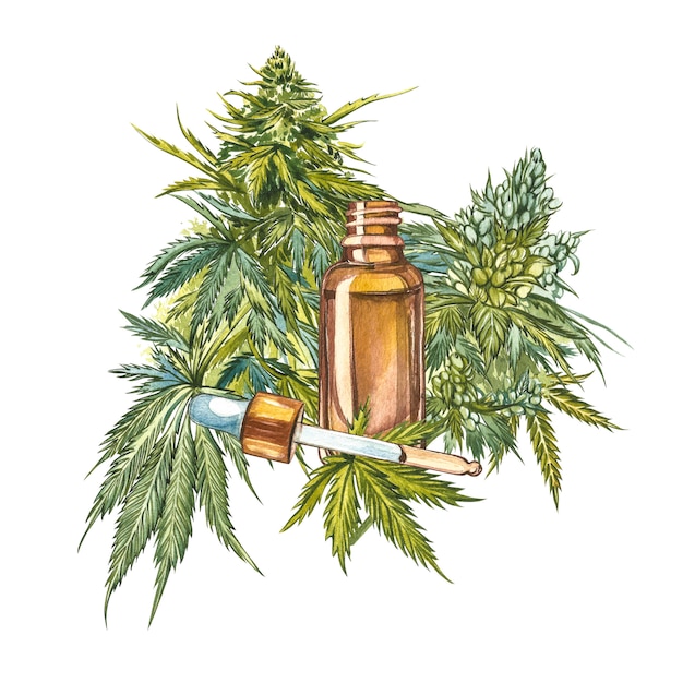 CBD oil hemp products. Watercolor illustration on white