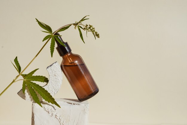 CBD-olie in bruine fles met druppelaar en cannabistak, hennep op podium Beige achtergrond