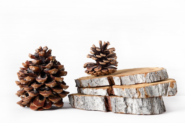 Photo cedar and pine cones on white background