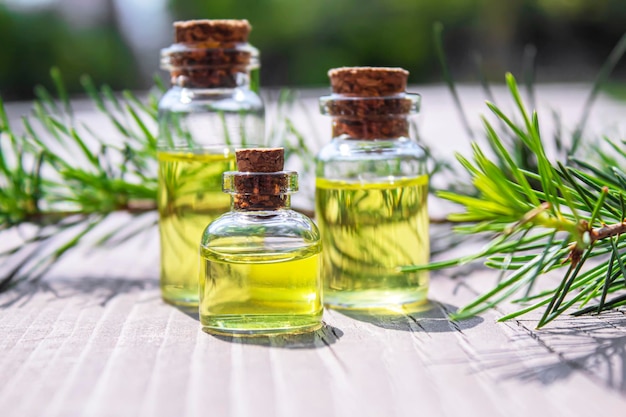 Cedar and spruce essential oil in small glass bottles on wooden background Selective focusnature