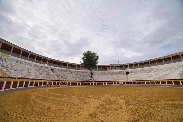 cehegin bullring in murcia