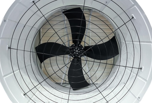 A ceiling fan with a black propeller in a circle.