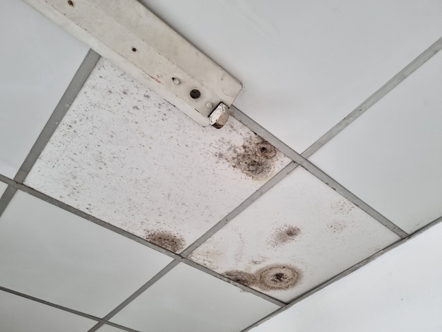 The ceiling is moldy wall panels