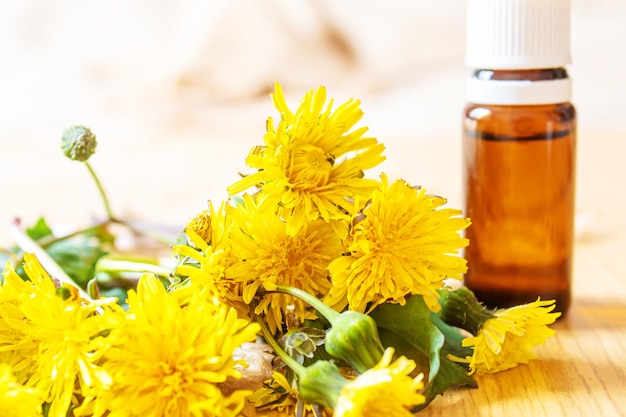 Celandine dandelion extract in a littel bottle, treatment, medicine, tincture. selective focus.nature