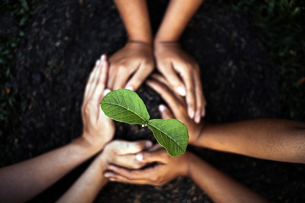 Foto celebrate la giornata della terra con una vita sostenibile, abbracciate le pratiche eco-friendly per un futuro più verde