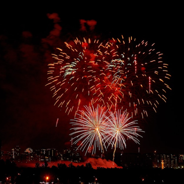 Fuochi d'artificio luminosi colorati celebrativi in un cielo notturno