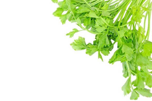 Celery, fresh, isolated on a white background. Top view image. Concepts, health and medicine