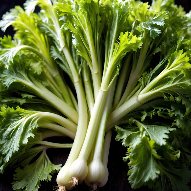 Celery fresh raw organic vegetable