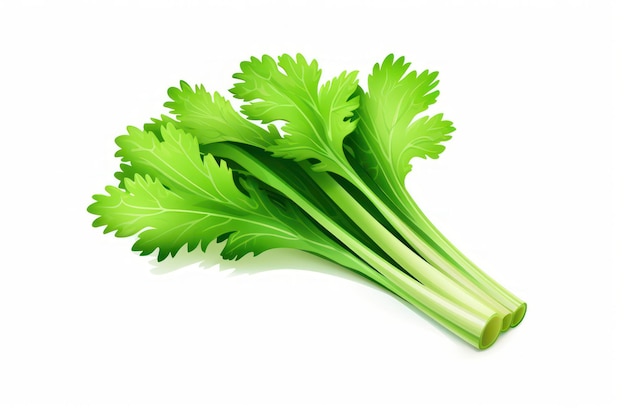 Celery icon on white background