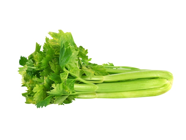 Celery is eaten around the world as a vegetable the leaves are strongly flavored and used less ofte