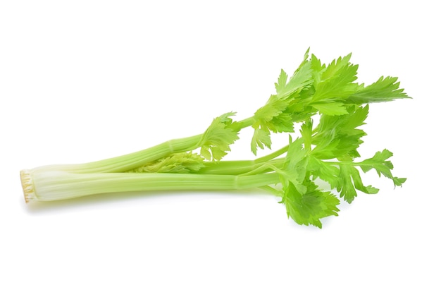 Celery isolated on white background