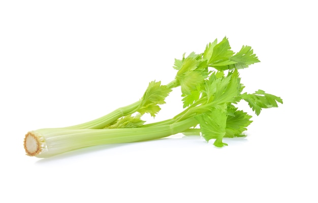 Celery isolated on white background