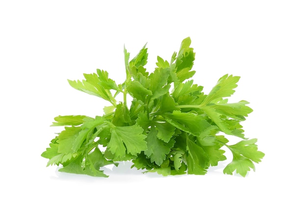 Celery isolated on white