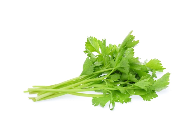 Celery isolated on white