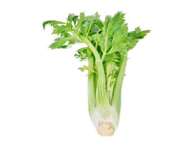 Celery isolated