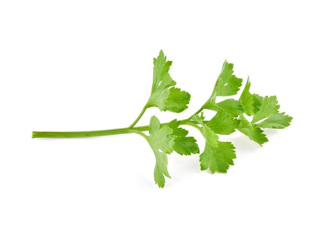 Celery isolated